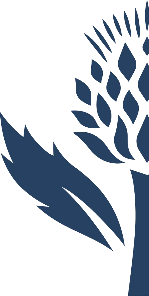 Footer Background